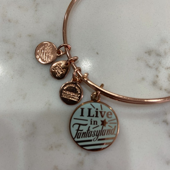 Disney x Alex and Ani // I Live in Fantasy Land Bracelet Set // Rose Gold - Picture 7 of 10